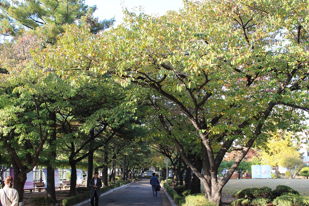 삼청동4.jpg