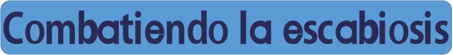 jdjd.png