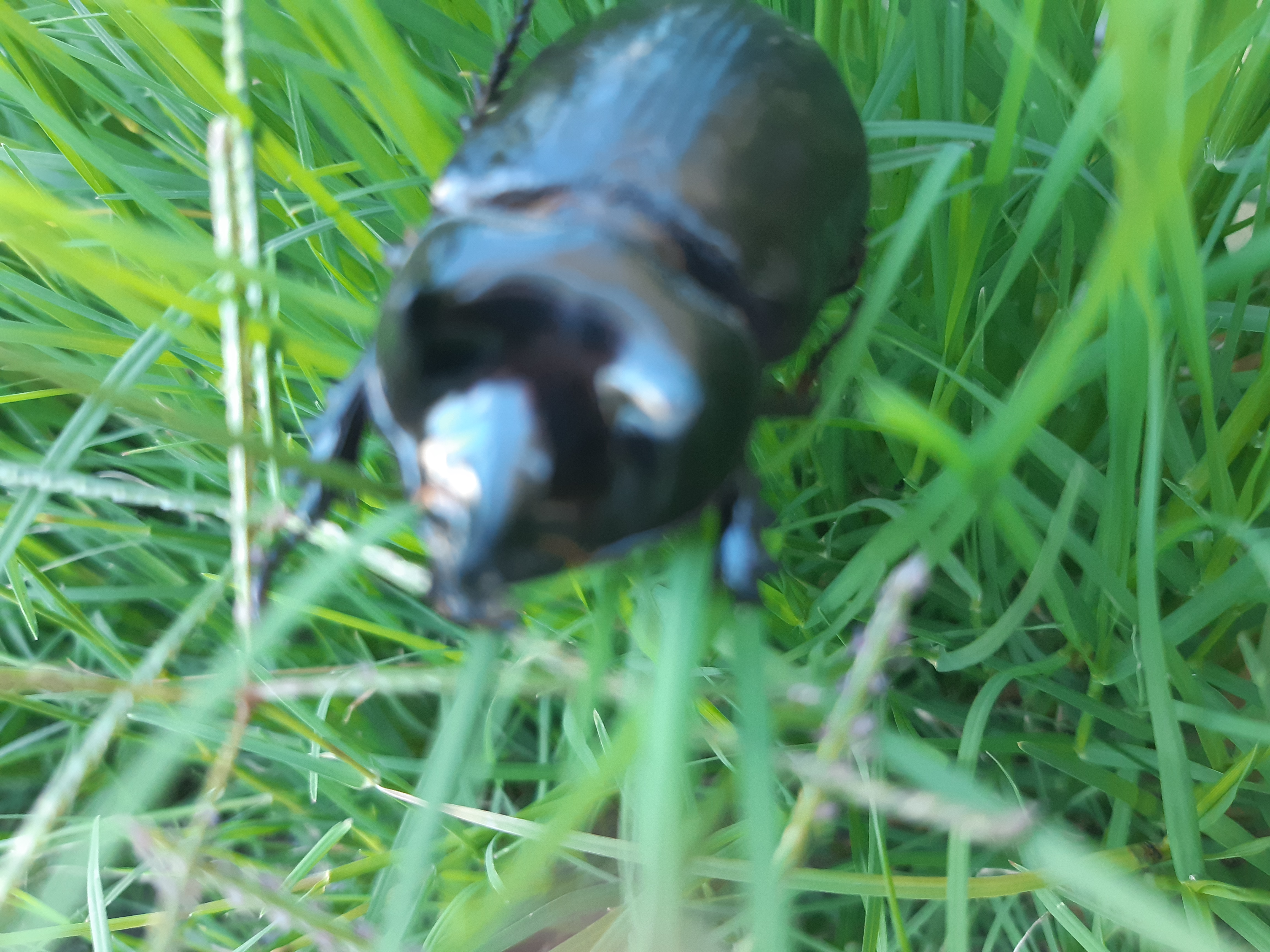 20220223_154817.jpg