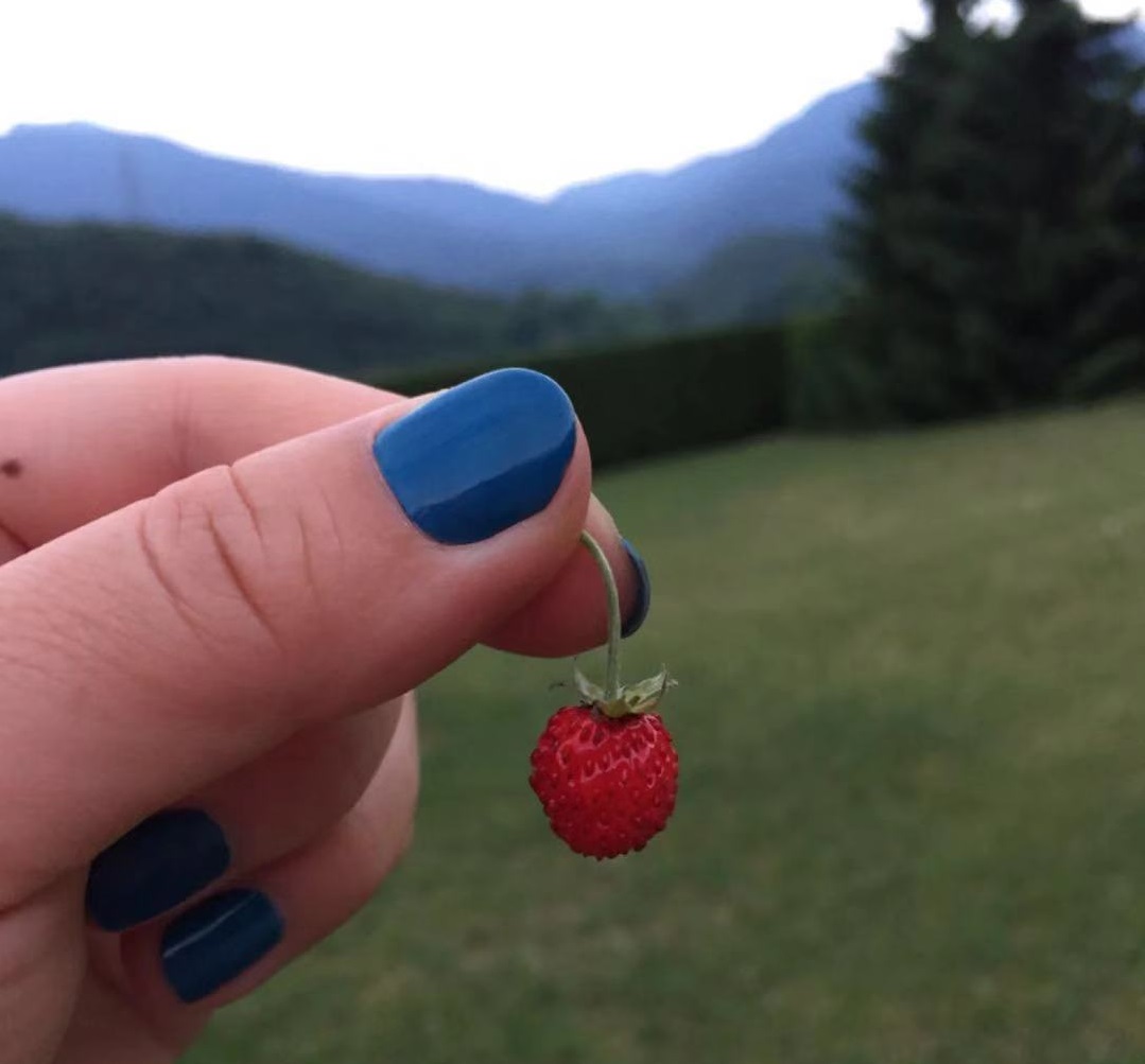 20190723171602.jpg