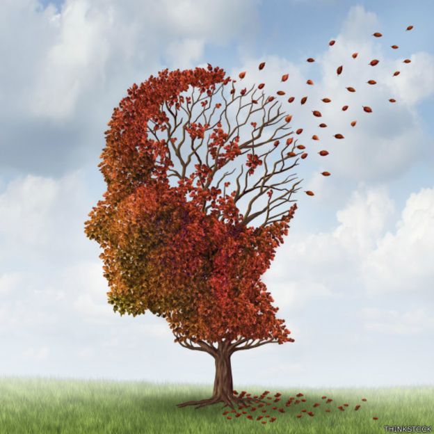 150205140944_cerebro_que_se_borra_549x549_thinkstock.jpg