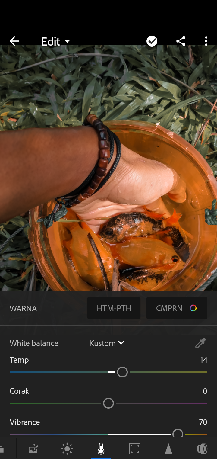 Screenshot_2020-03-05-20-59-41-234_com.adobe.lrmobile.png