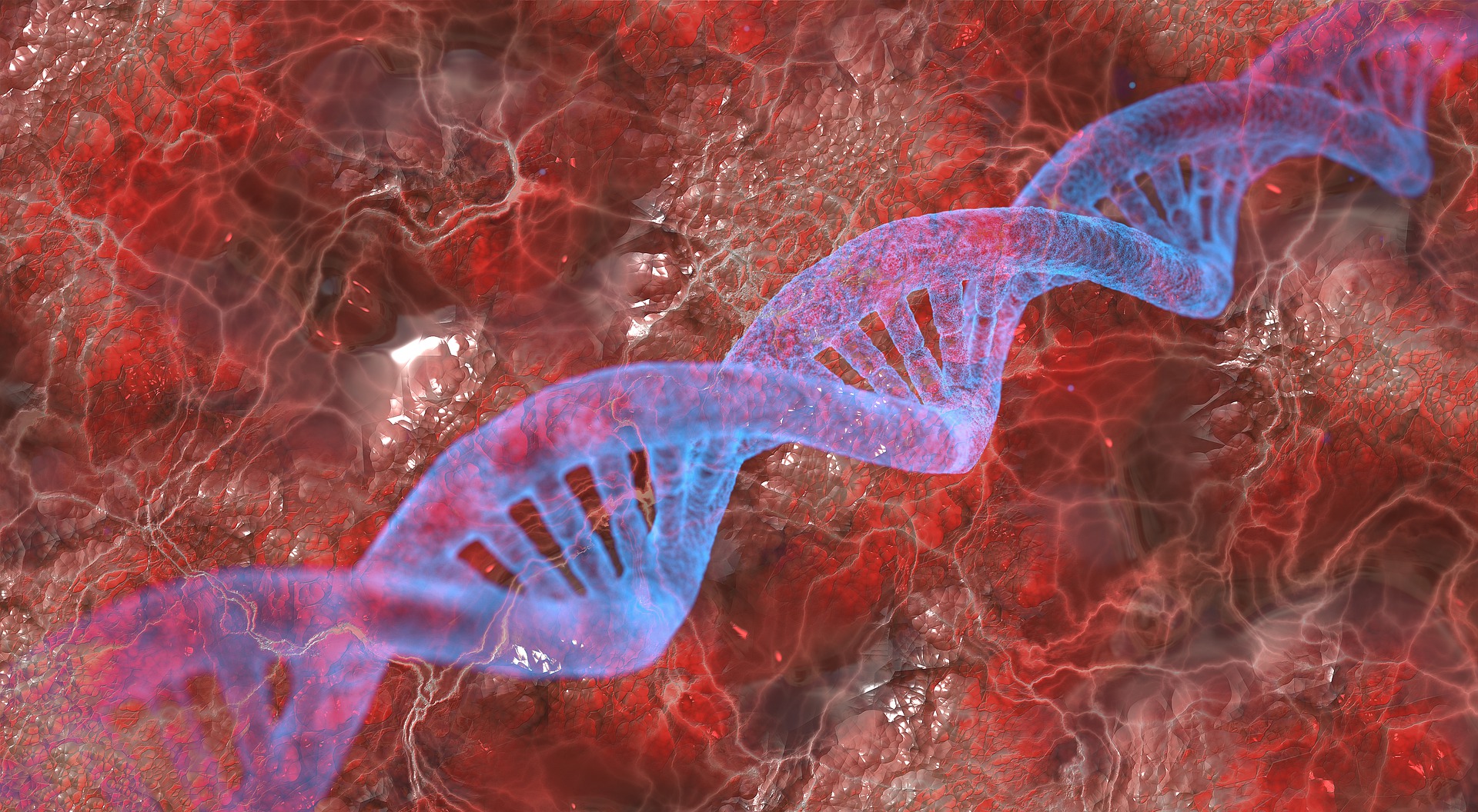 dna-gd651cf810_1920.jpg