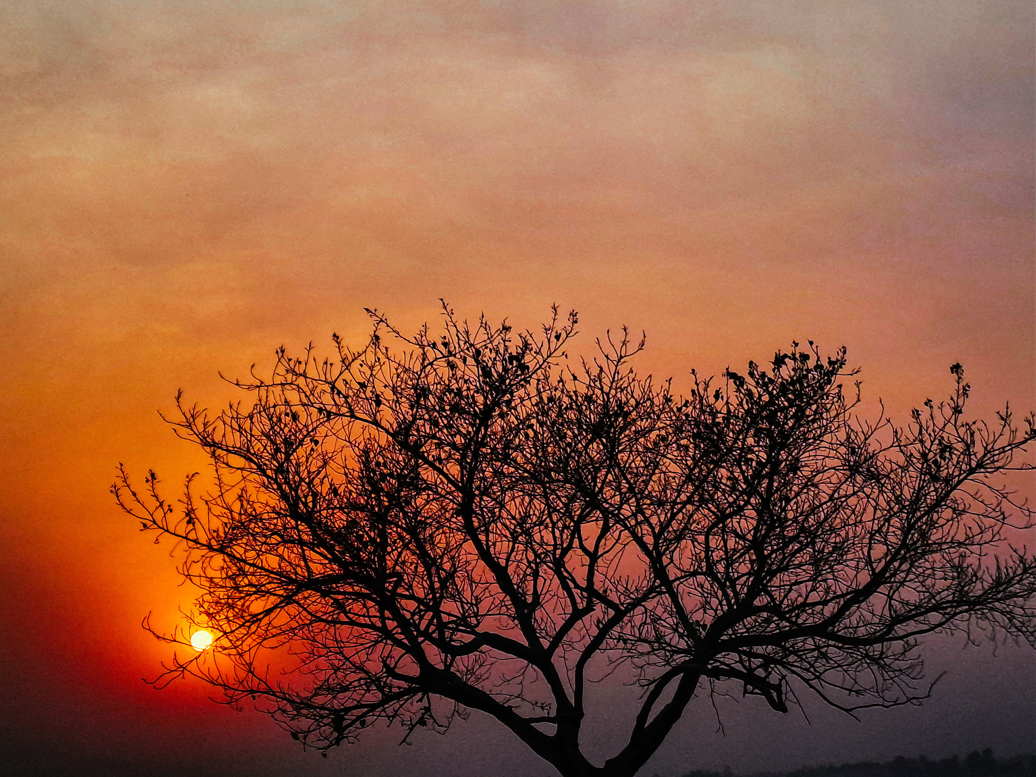 20250405_175443 (2).jpg