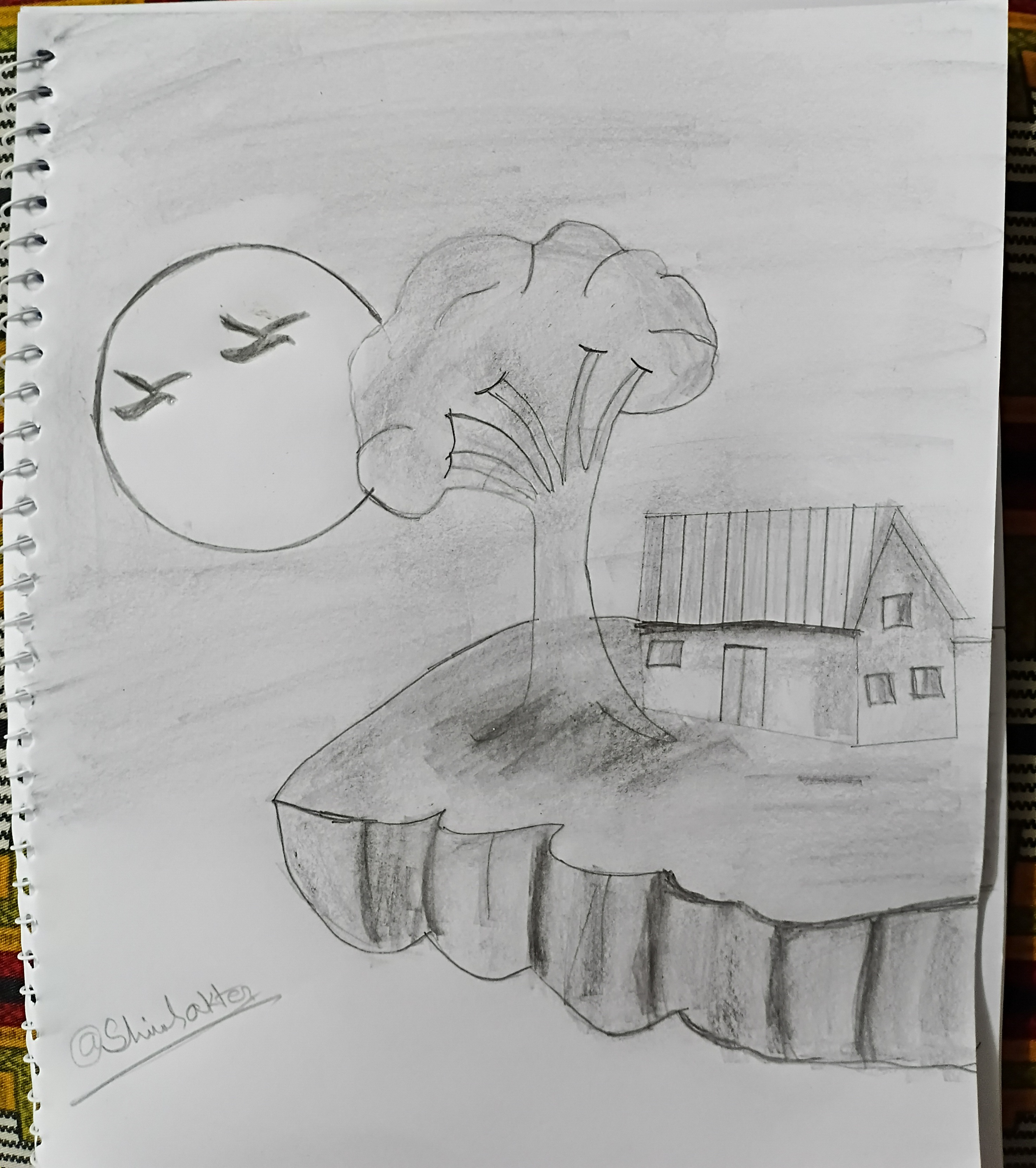 45896.jpg