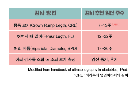 임신6주차-02.png