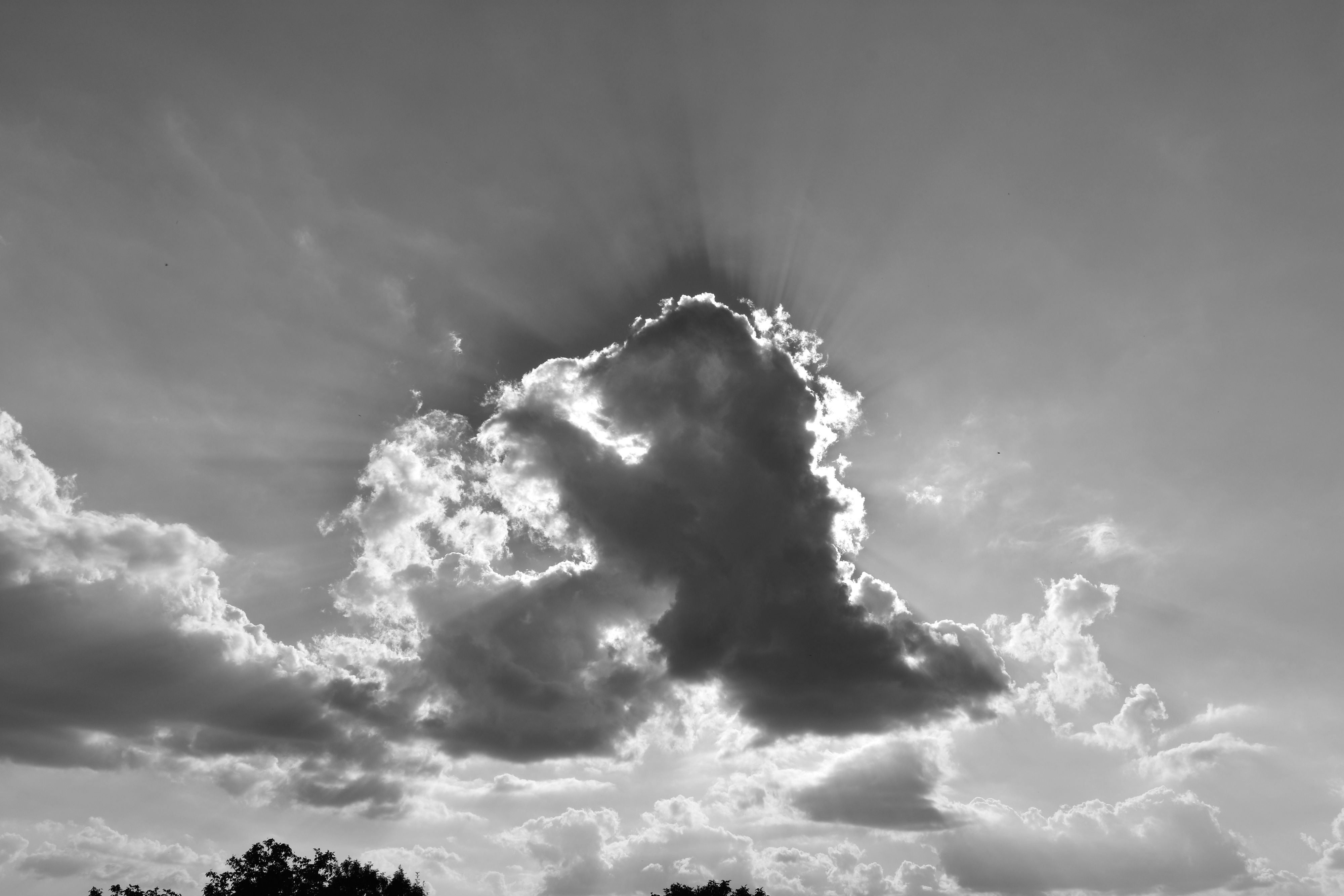 DSC_1084.jpg