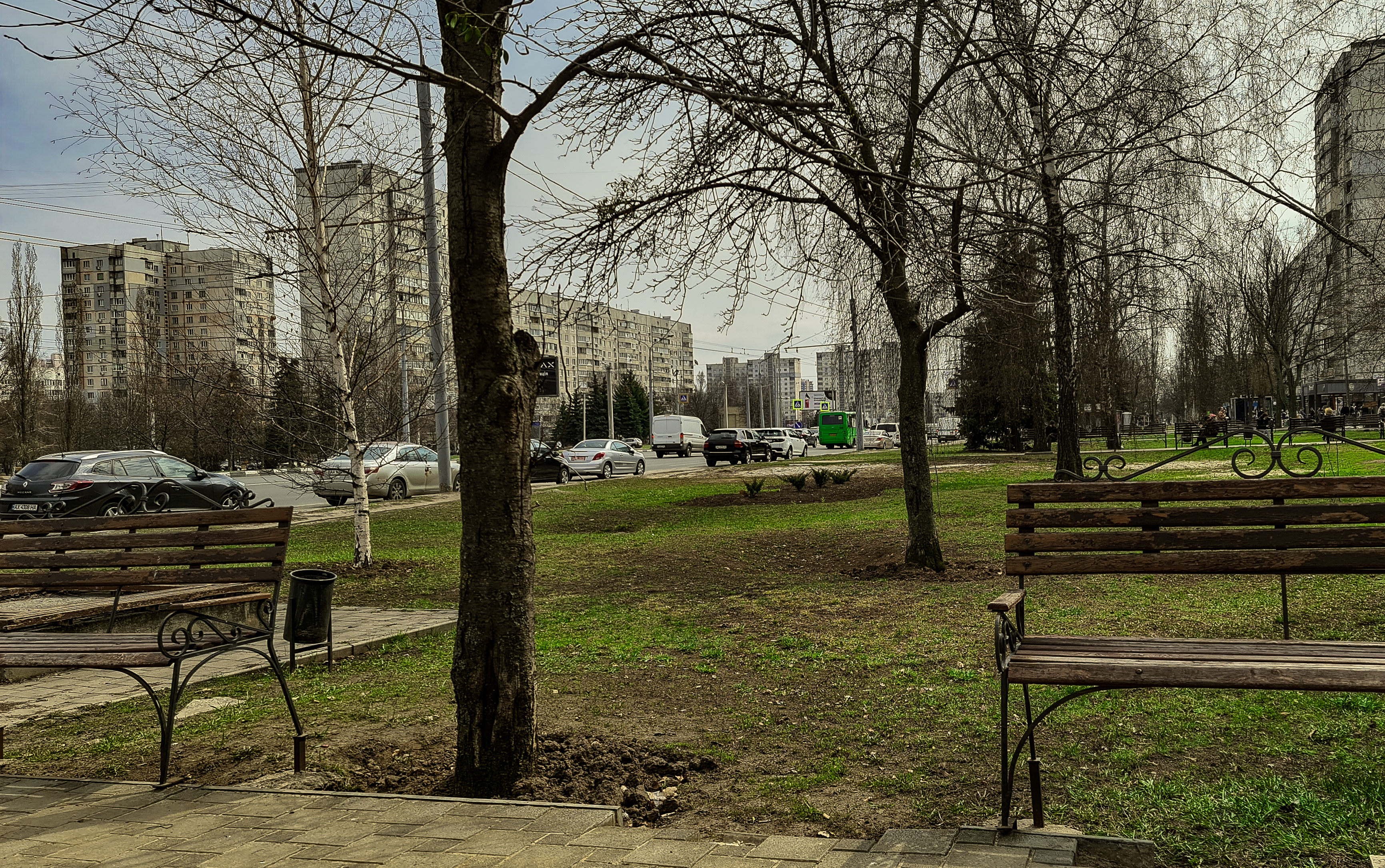 20210414_133909 (1).jpg