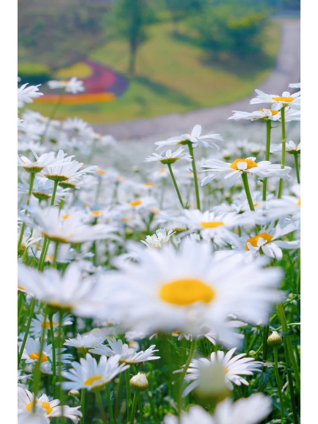 18.webp