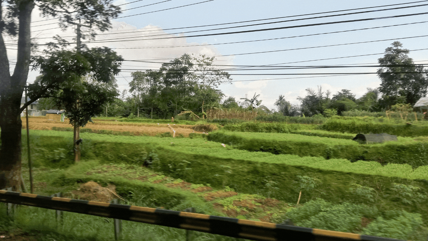 growyourown (1).gif