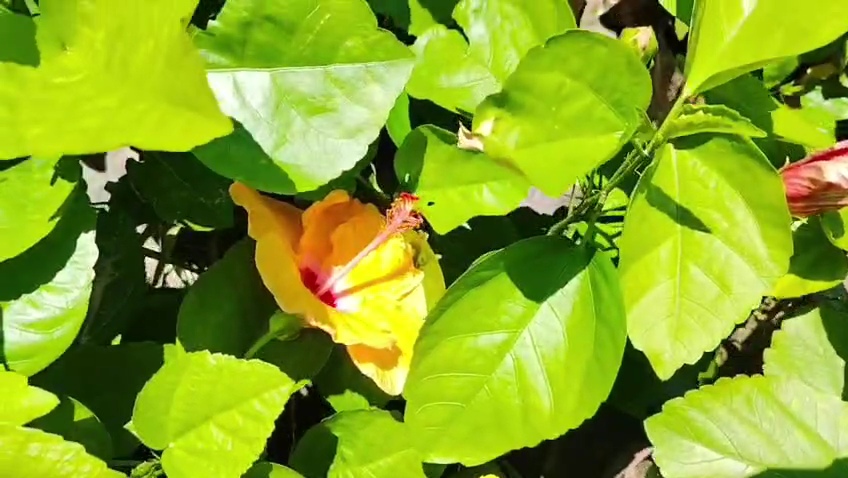 VideoCapture_20260816-181420.jpg