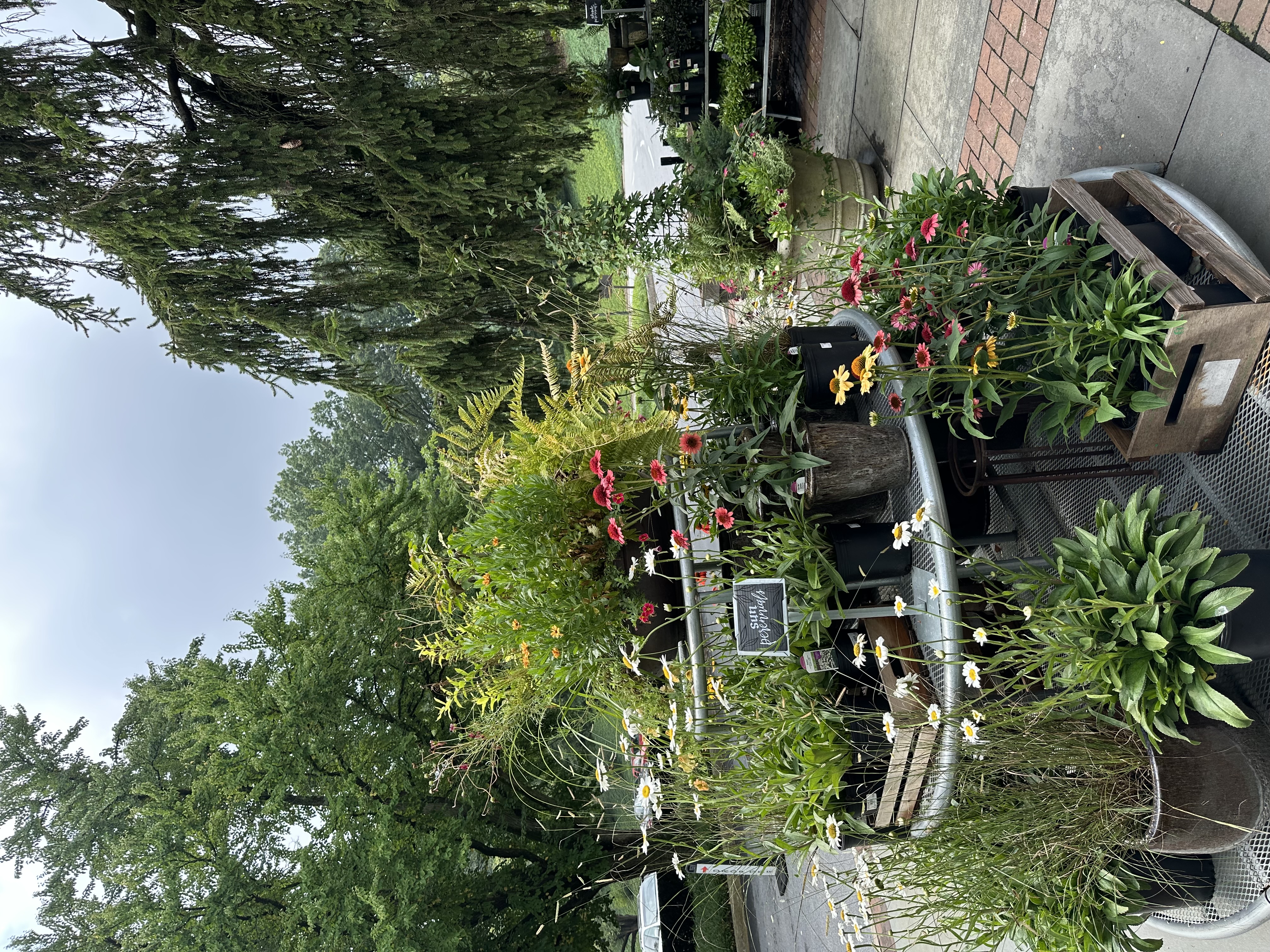 IMG_5543.jpeg