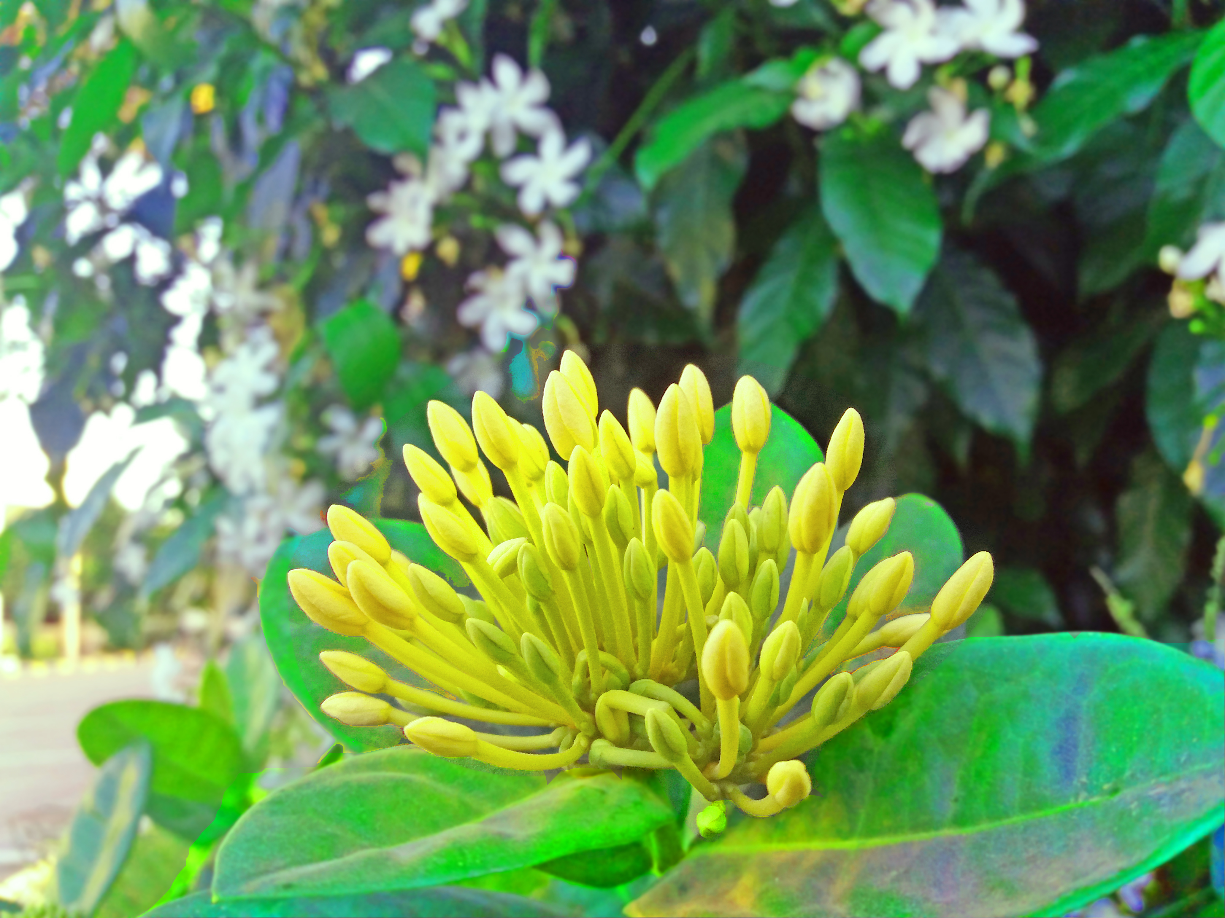 20180519_182133.jpg