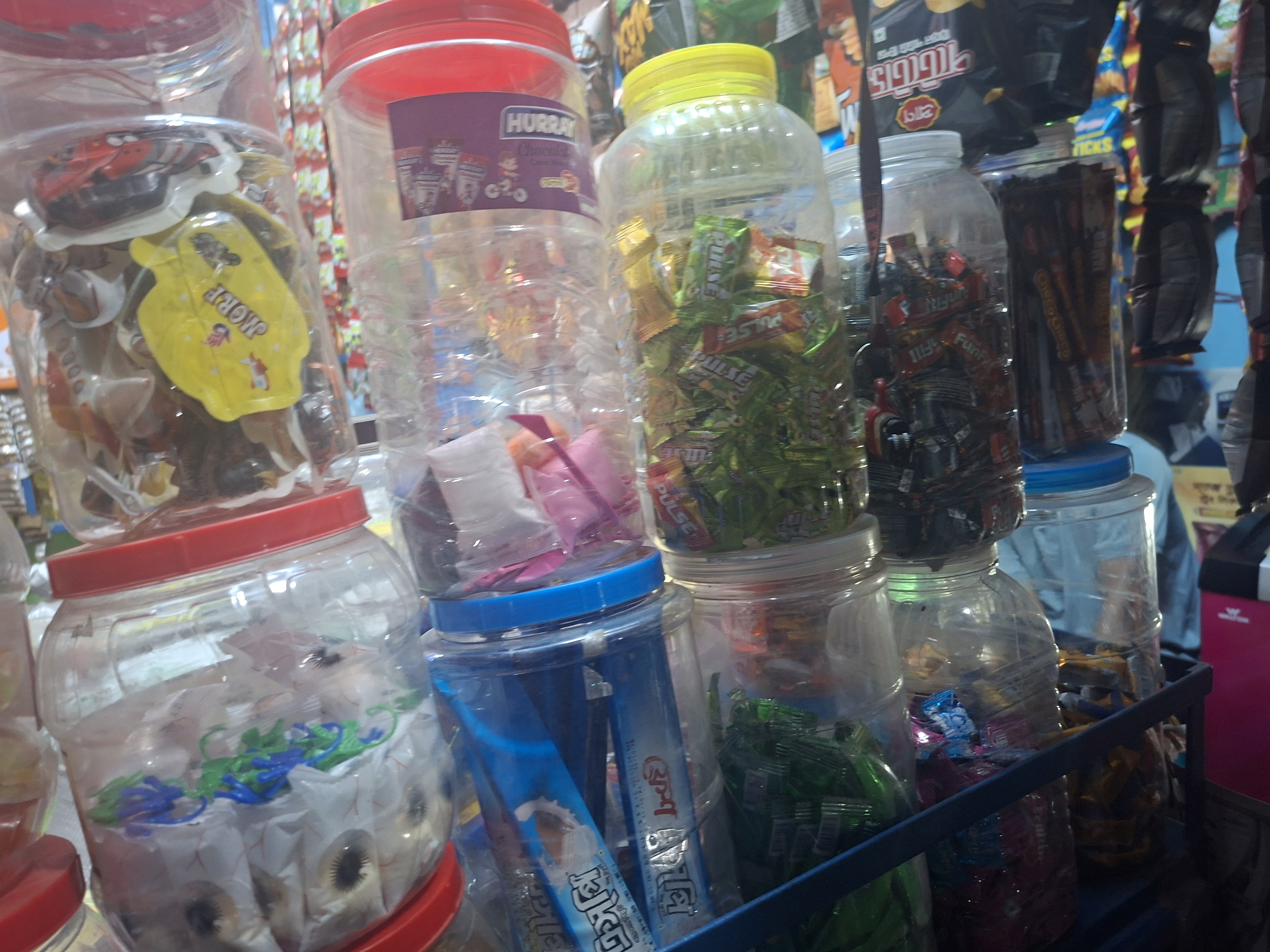 1000008264.jpg