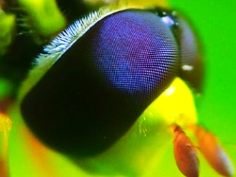 IMG_20210528_023518.jpg