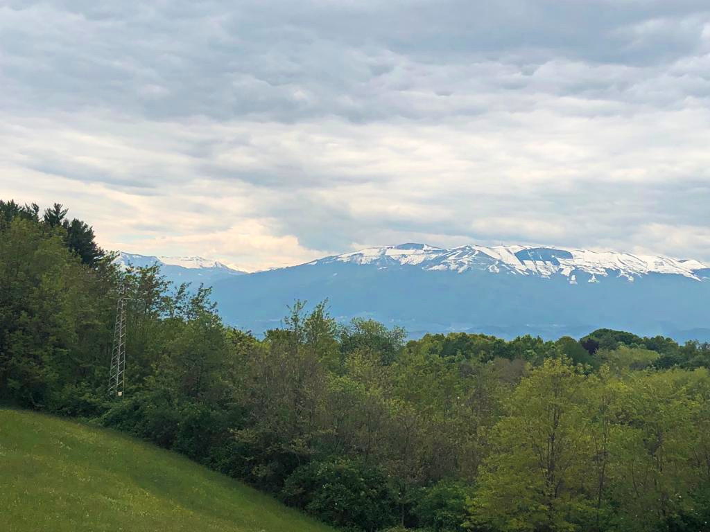 IMG-20190507-WA0005.jpg