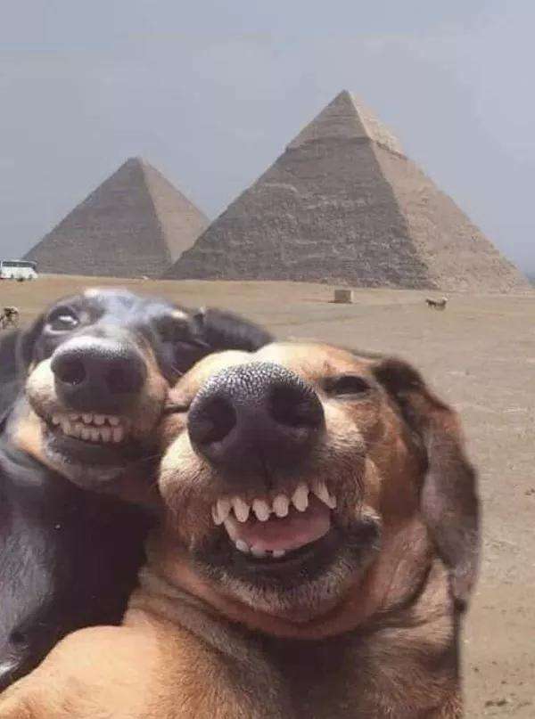 b5d4064c7bacca7f539633fbda12768f.jpeg