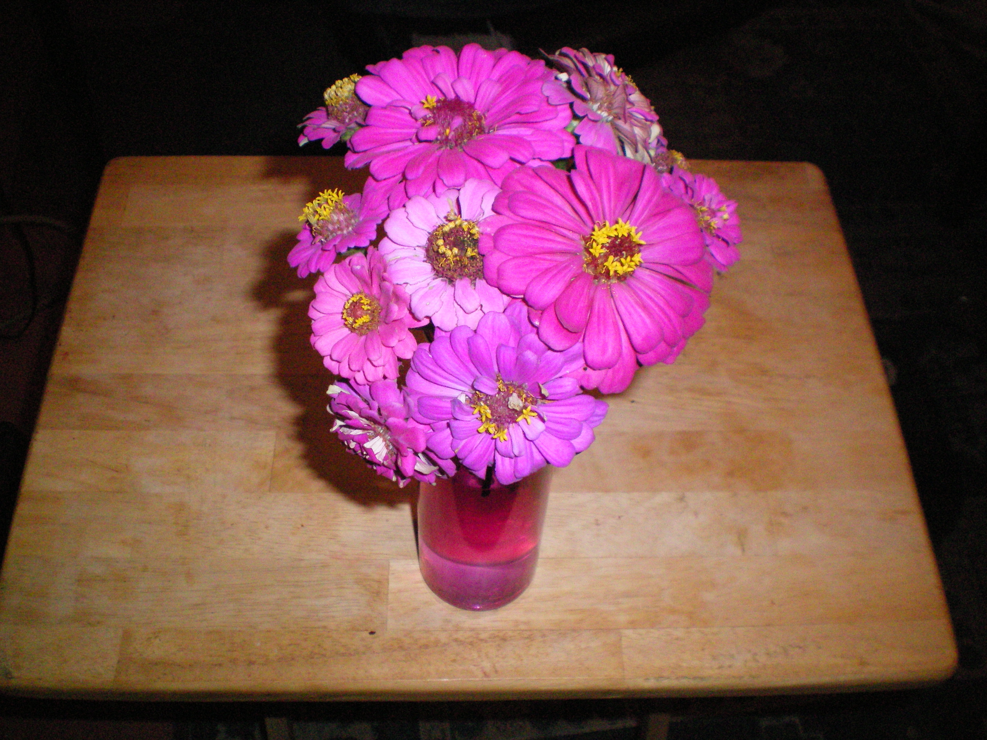 100_0005.JPG
