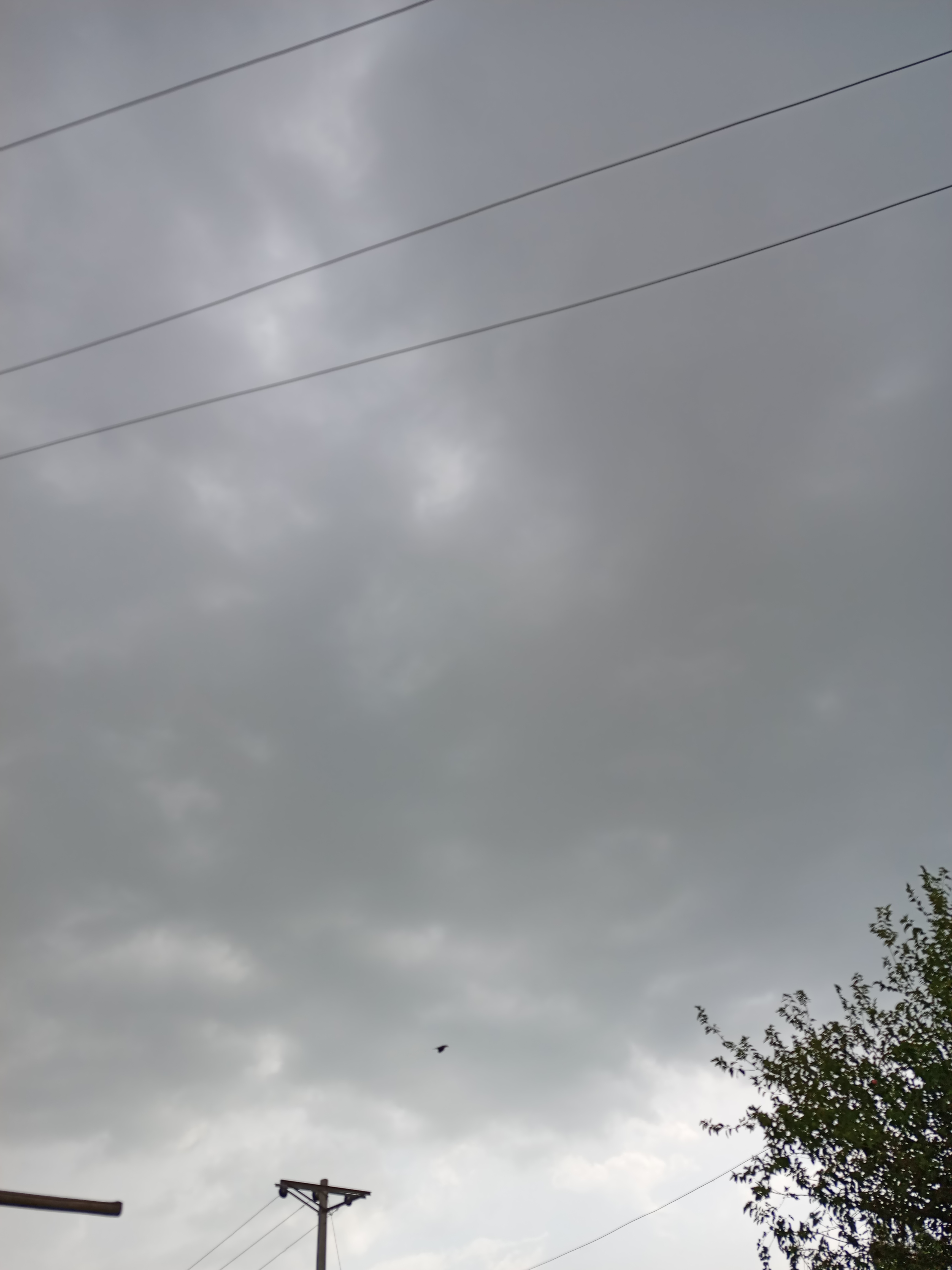 IMG_20240712_102839_041.jpg