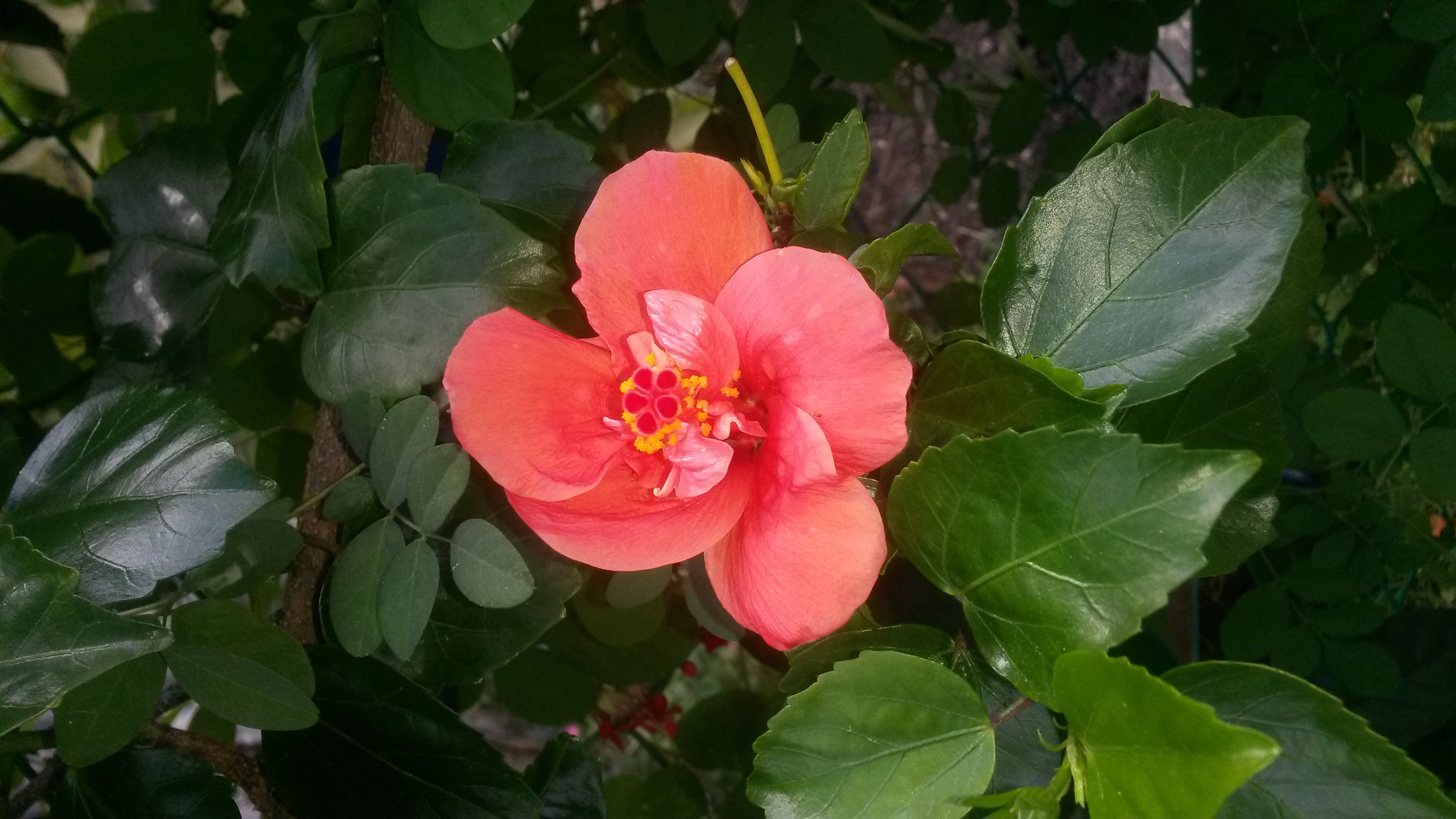 20180504_114825.jpg