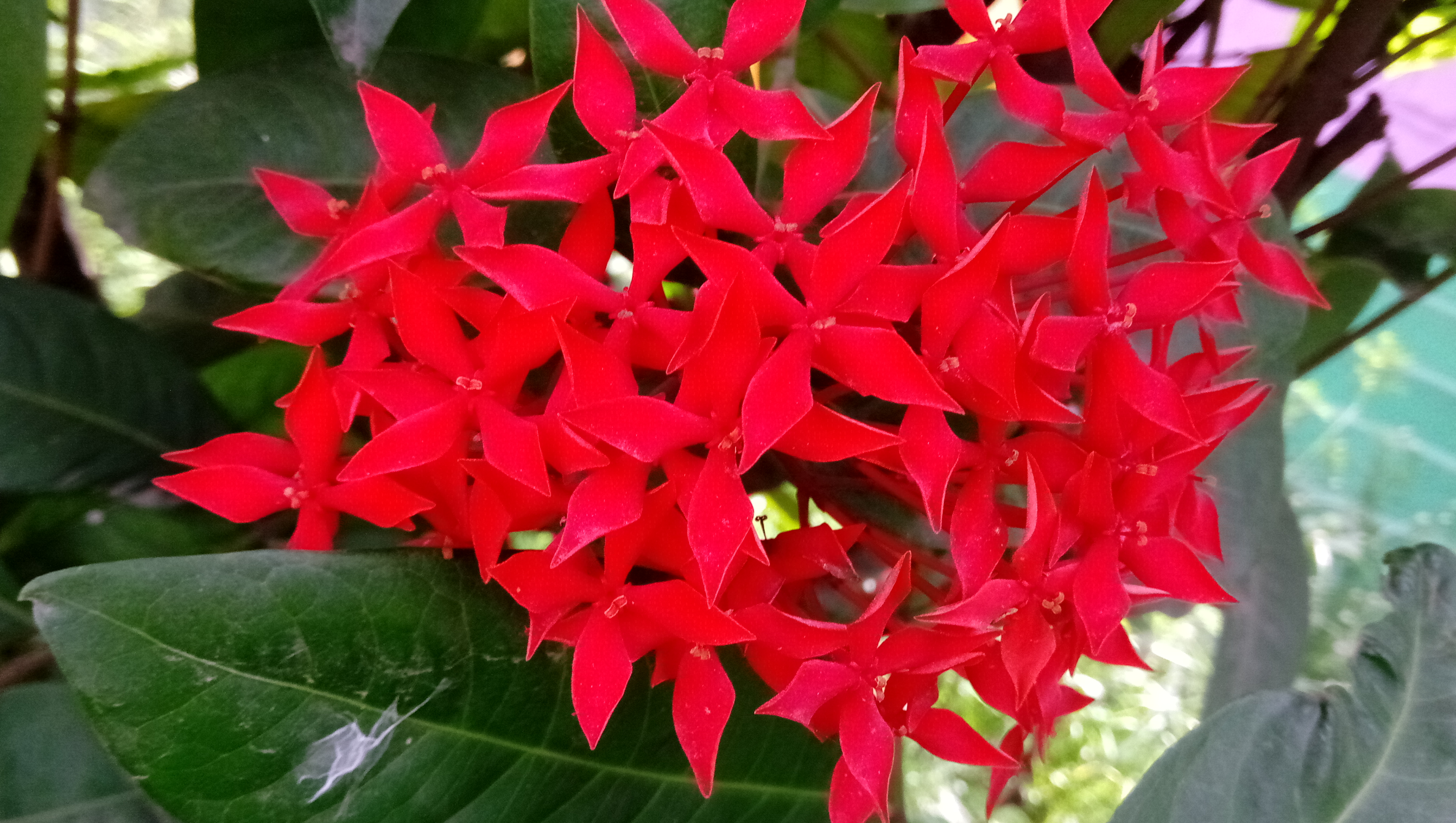 P_20180811_134232.jpg