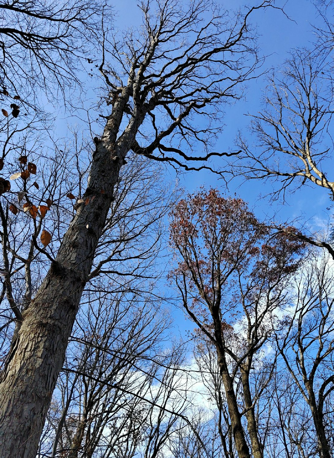 IMG_20260108_142554.jpg