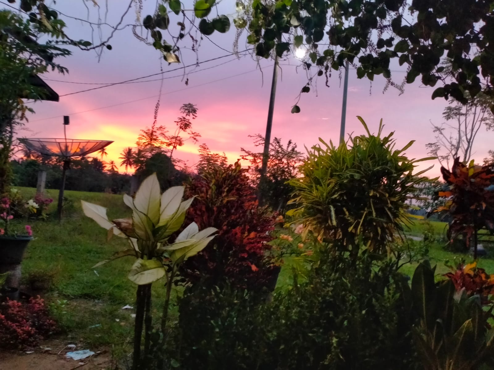 panorama.jpeg