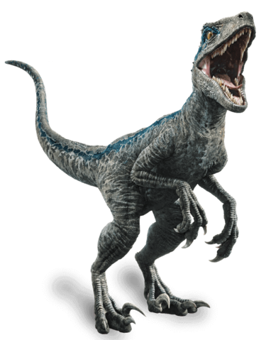 Fallen_kingdom_blue_the_velociraptor_by_sonichedgehog2-dc80trd.png