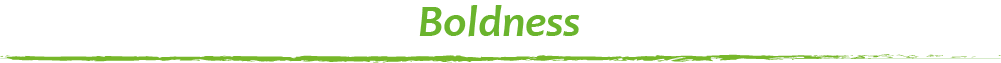 iguanadiv2.png