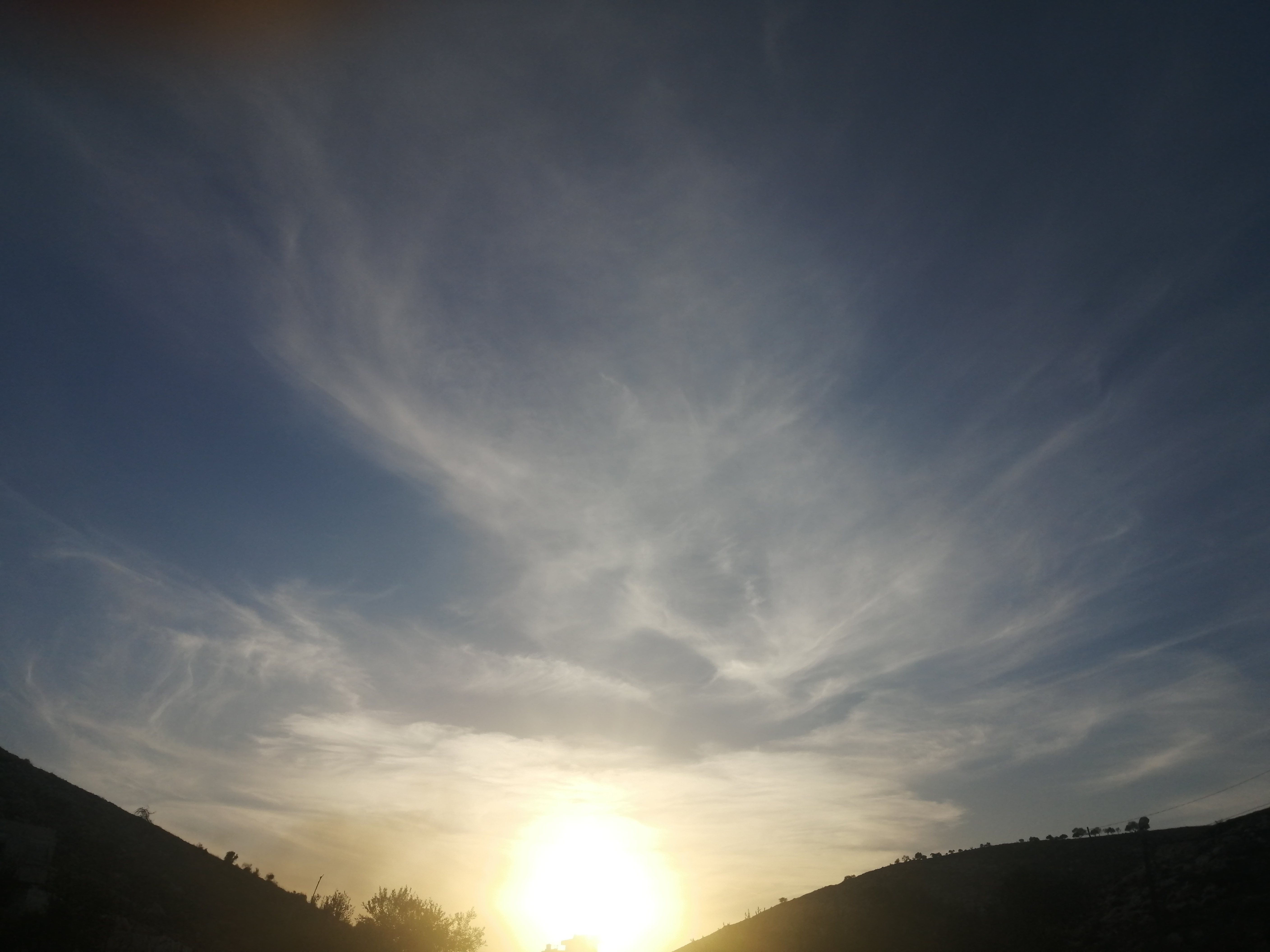 IMG_20211112_160737.jpg