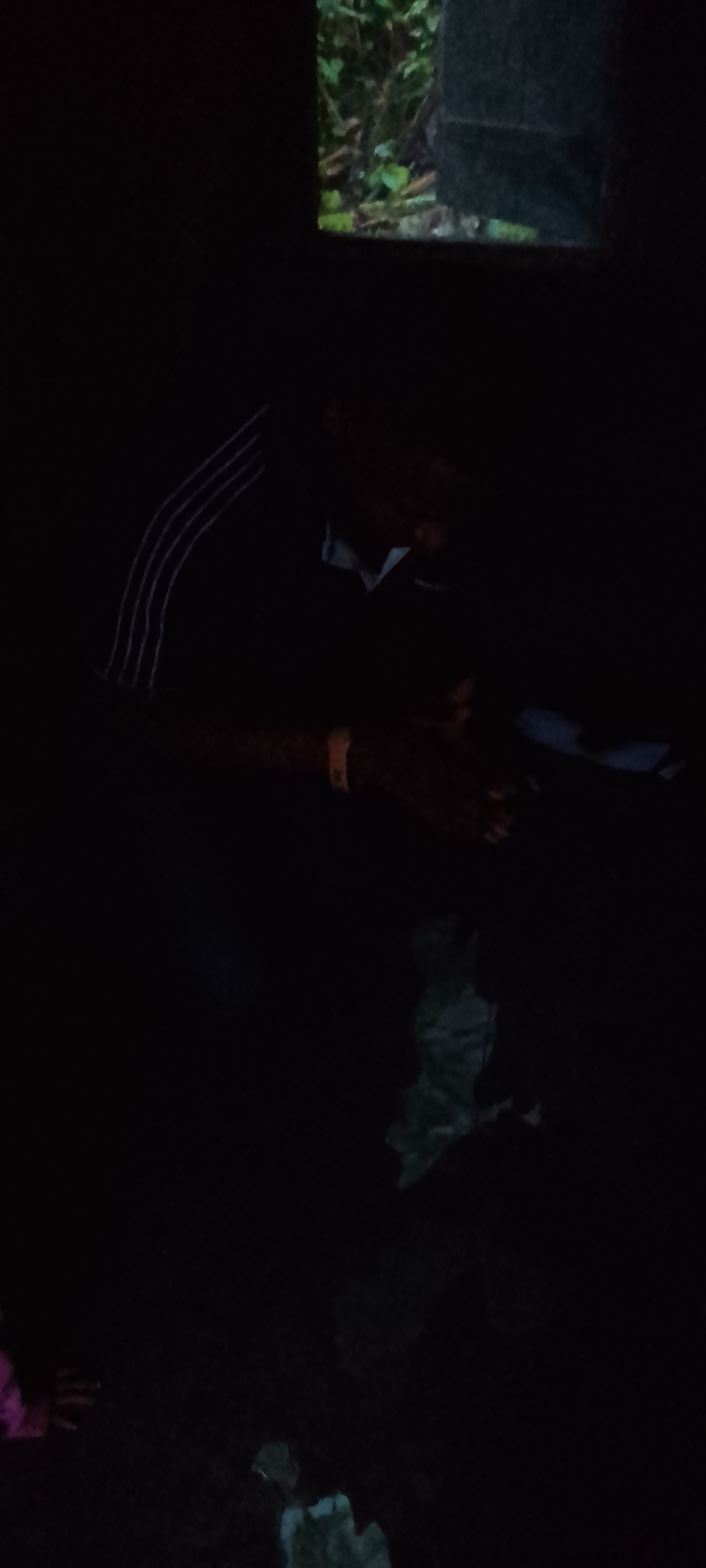 IMG_20210903_182553.jpg