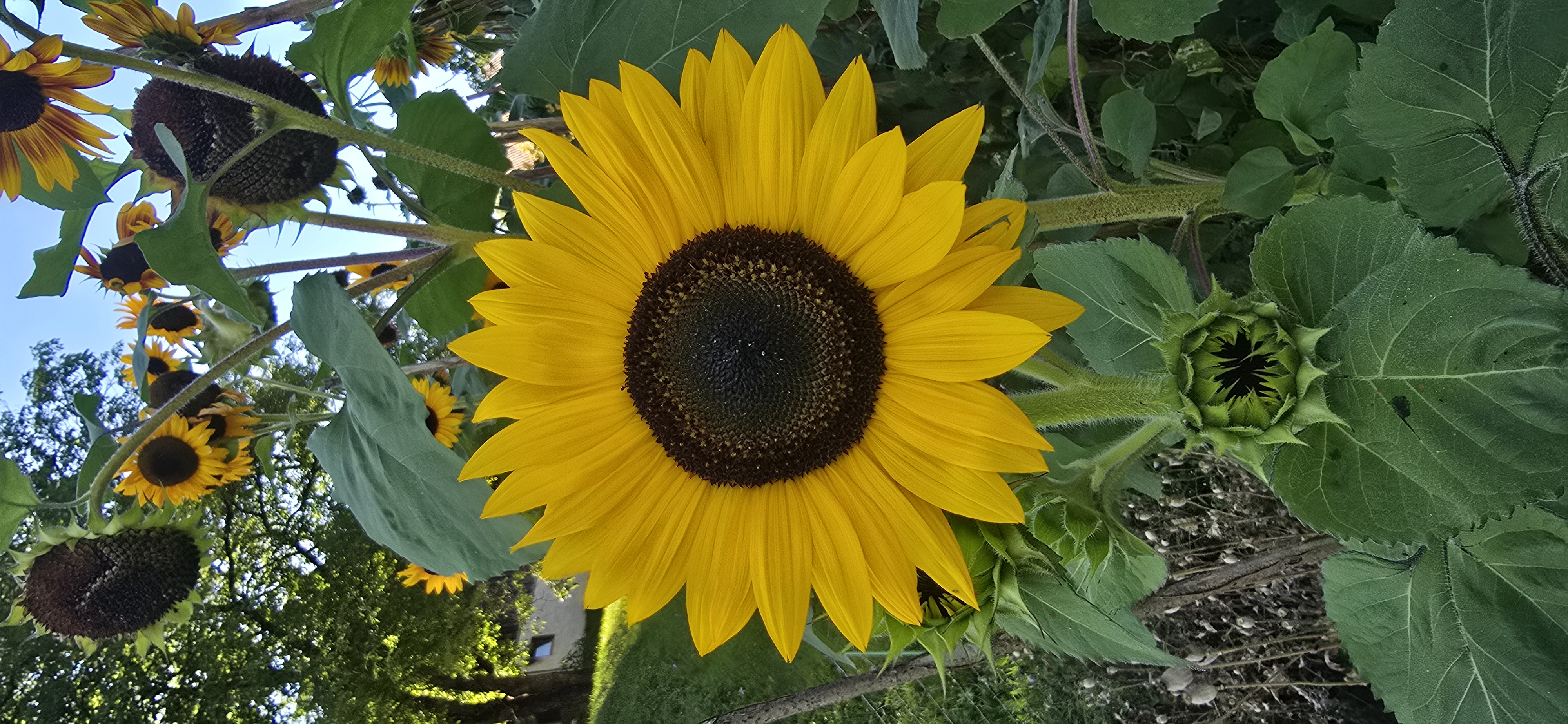 20250826_161000.jpg