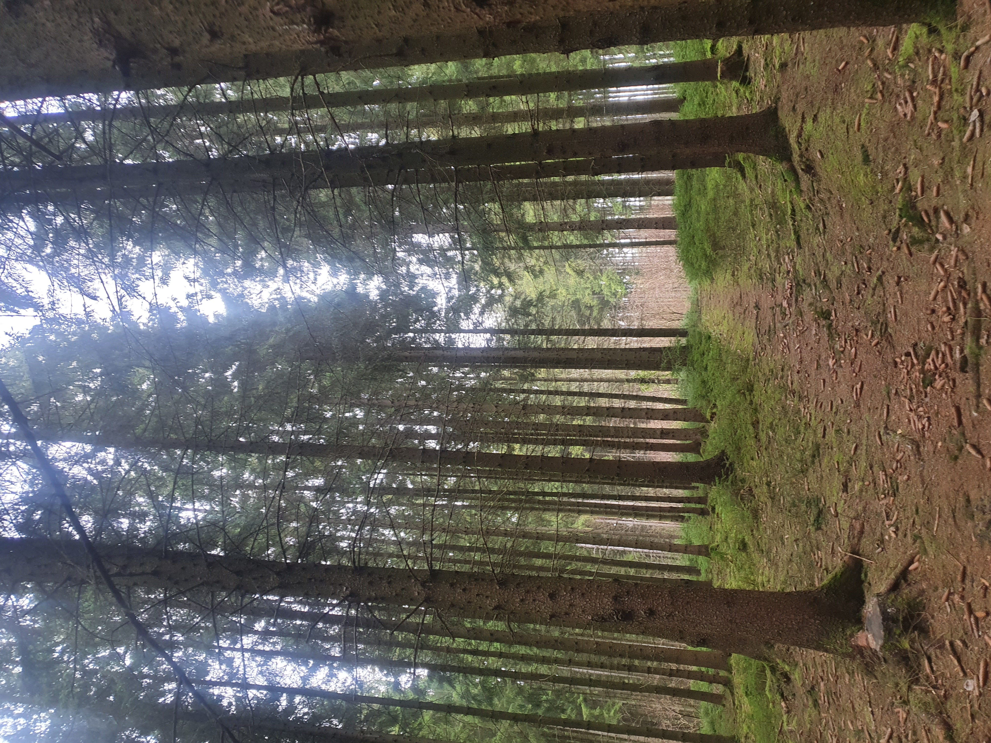 20220315_155140.jpg