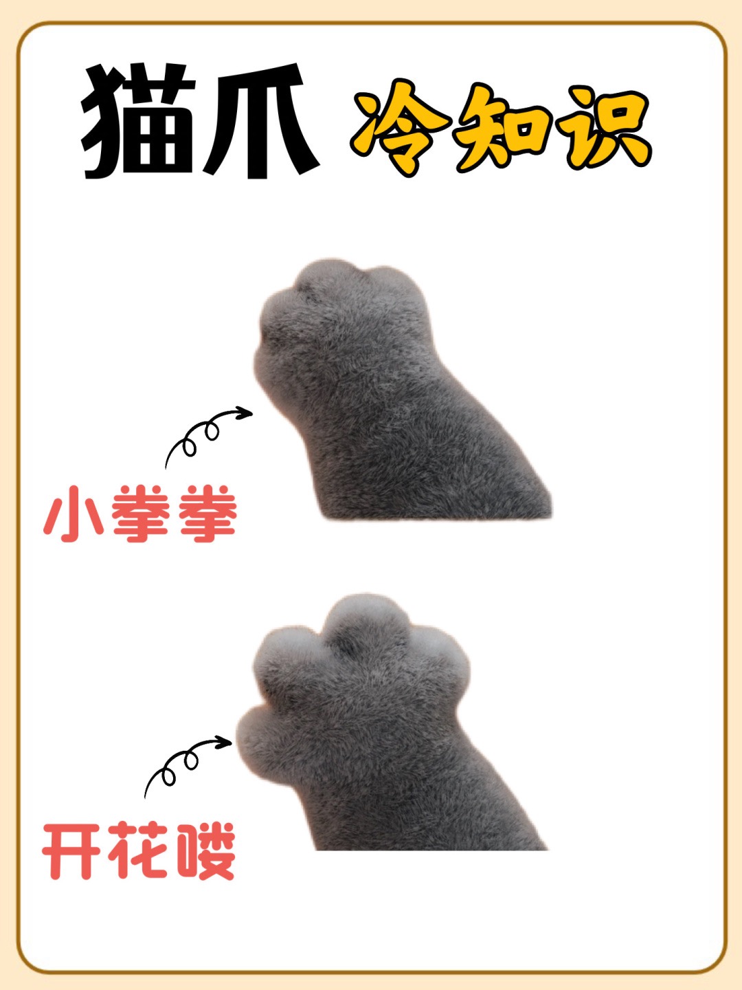 猫爪的秘密:你不知道的冷知识‼_1.jpg