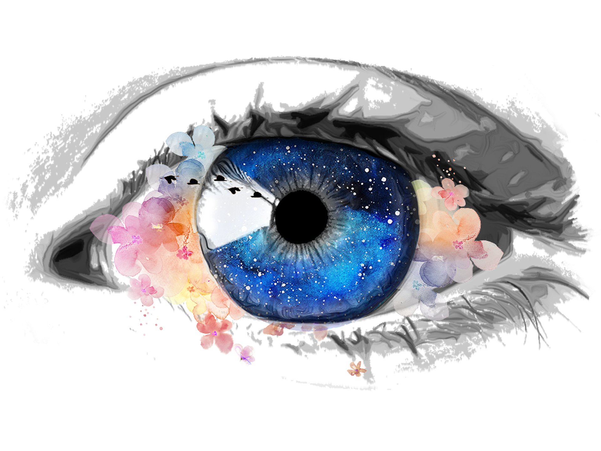 eye-4997724_1920.png