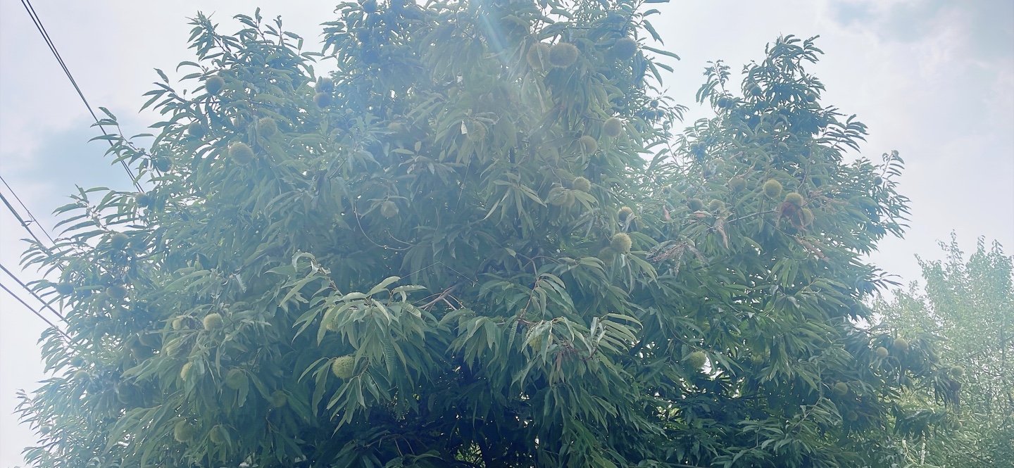 KakaoTalk_20260914_193341920_02.jpg