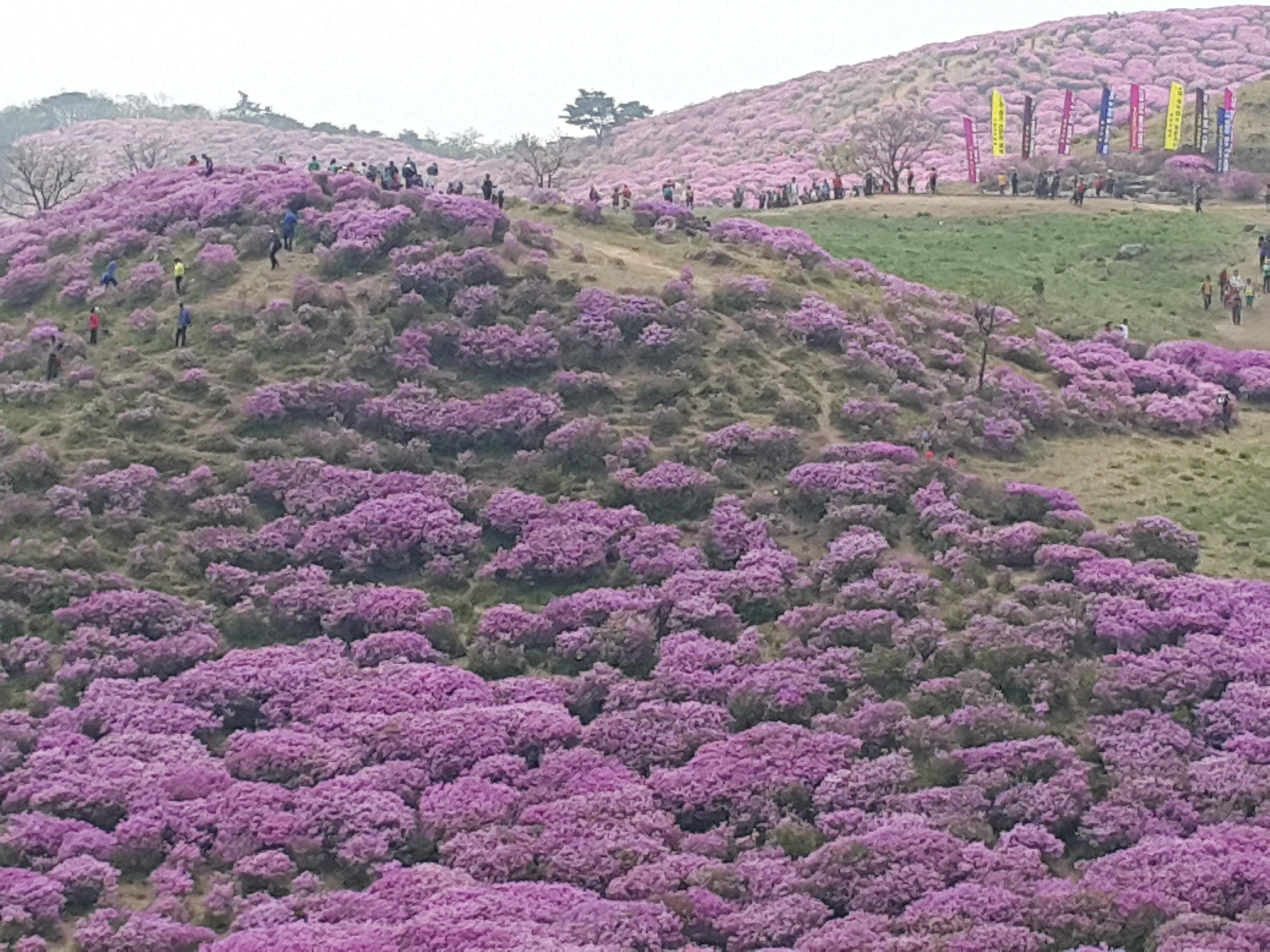 20150510_131354.jpg