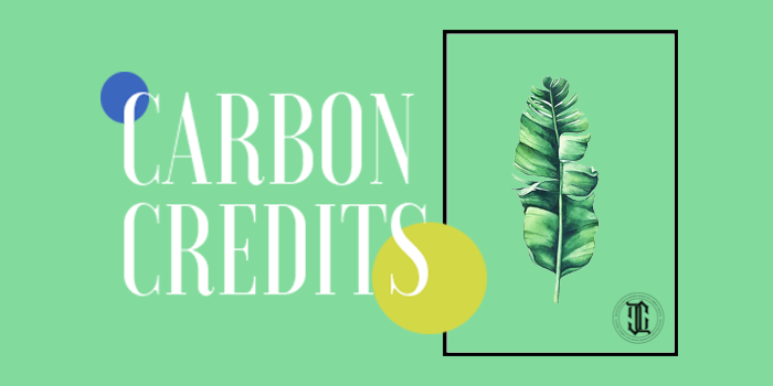 carbon_credits_medium (1).png