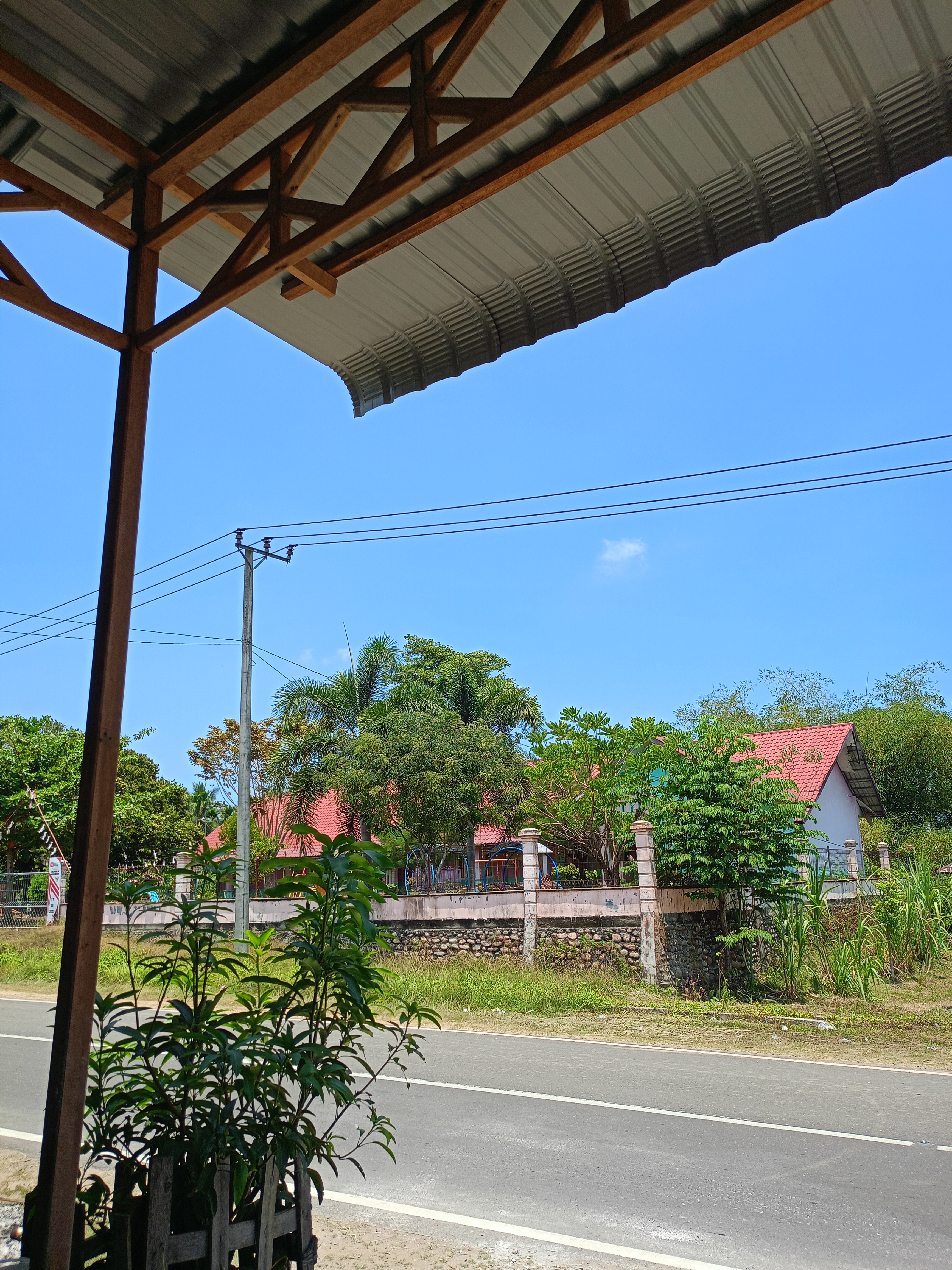 IMG20260320120112.jpg