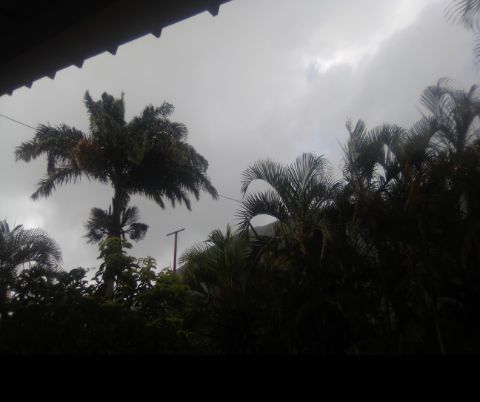 Screenshot_20220805-111824.jpg