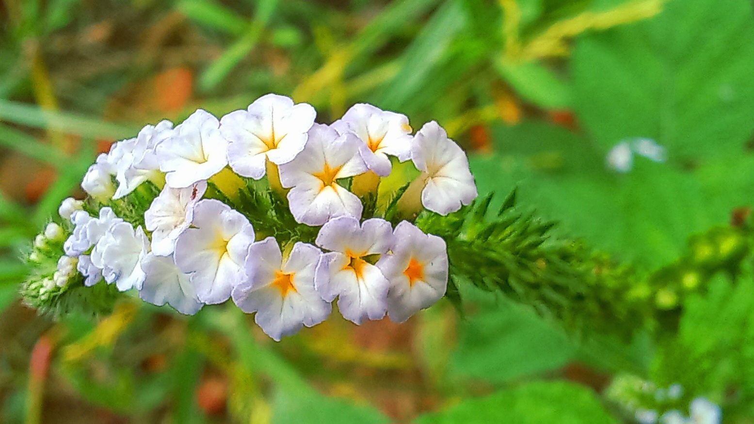 20220801_145457.jpg