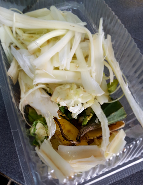 Compost03.jpg