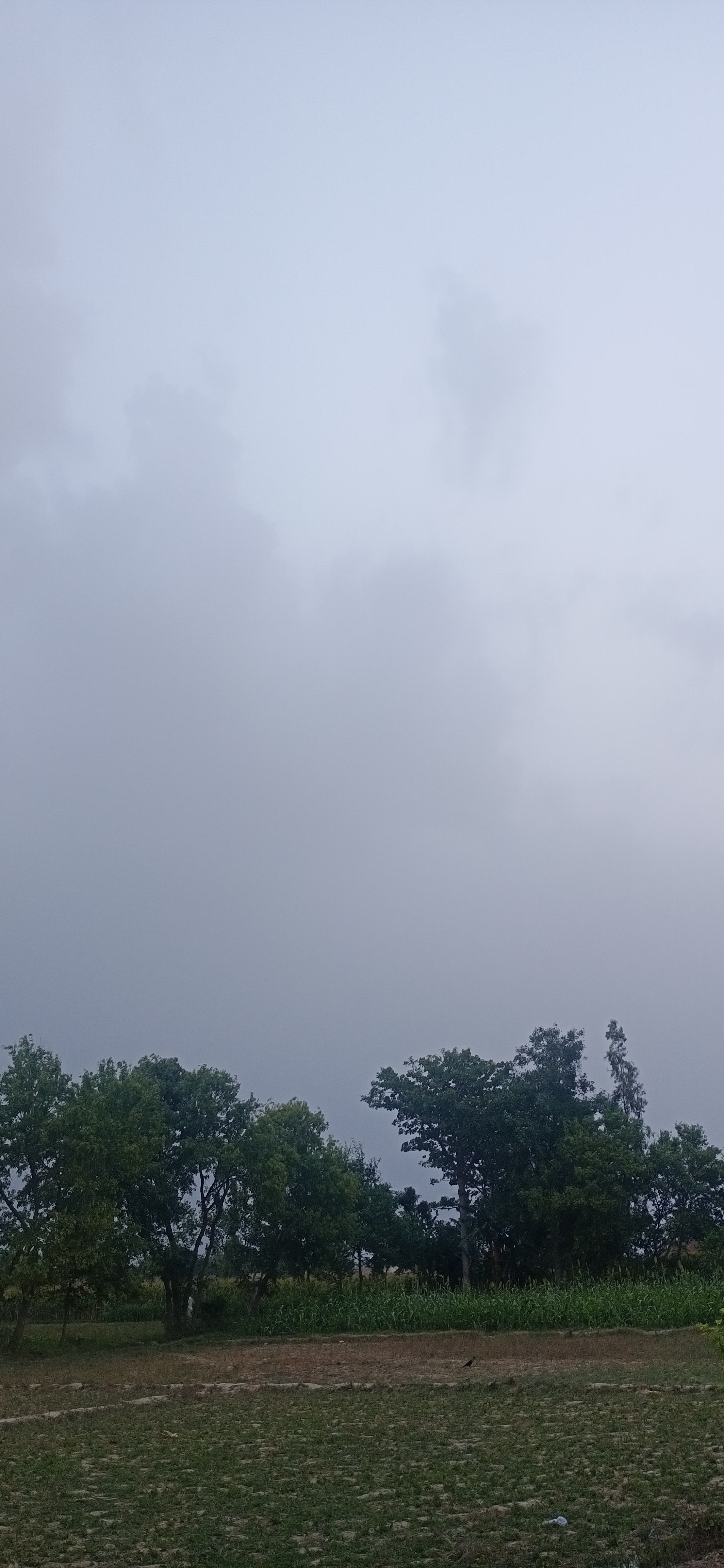 IMG_20210614_051800.jpg