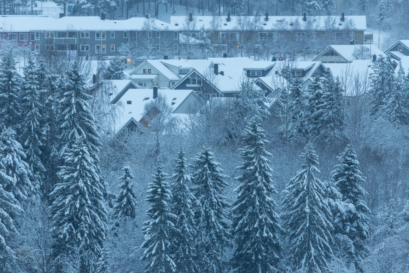 _MG_1618-1-2.jpg