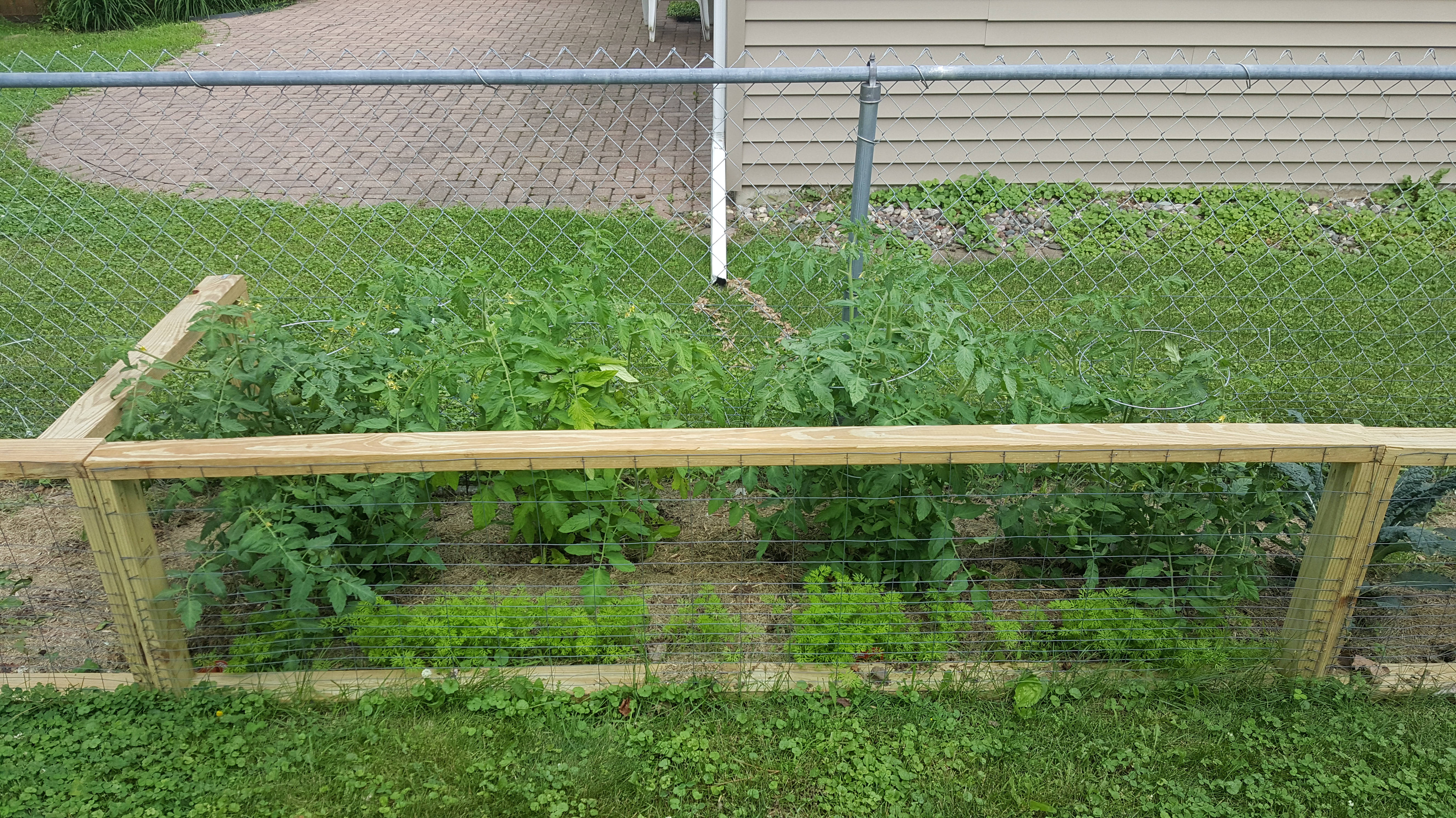 20190628_175228.jpg