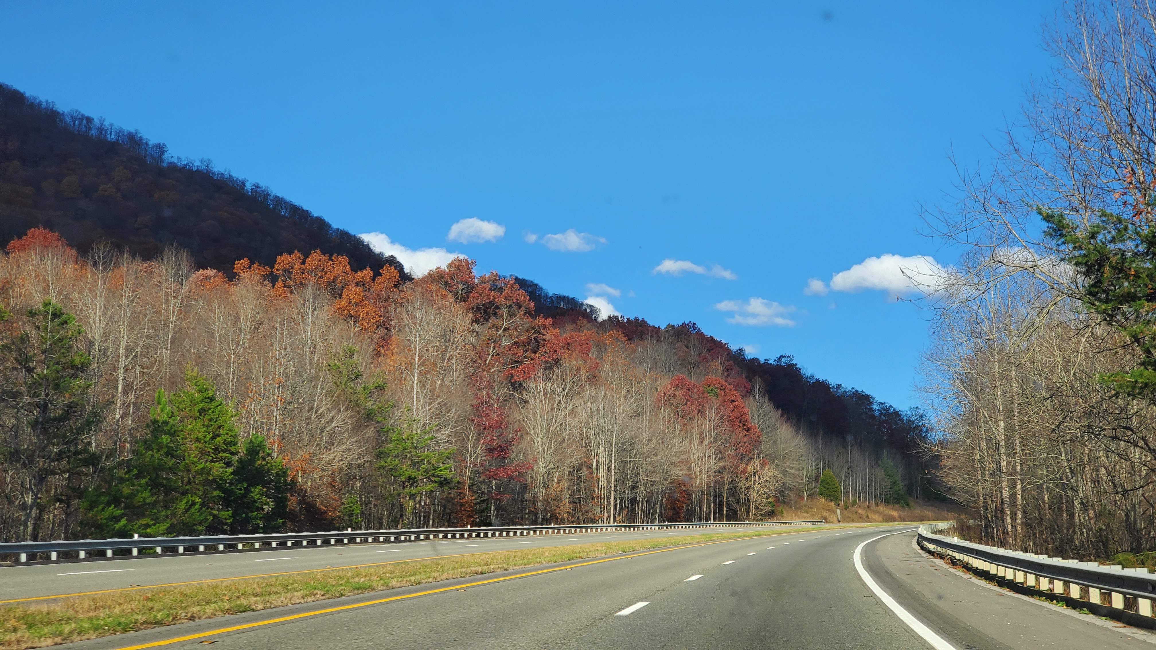 20201110_155626.jpg