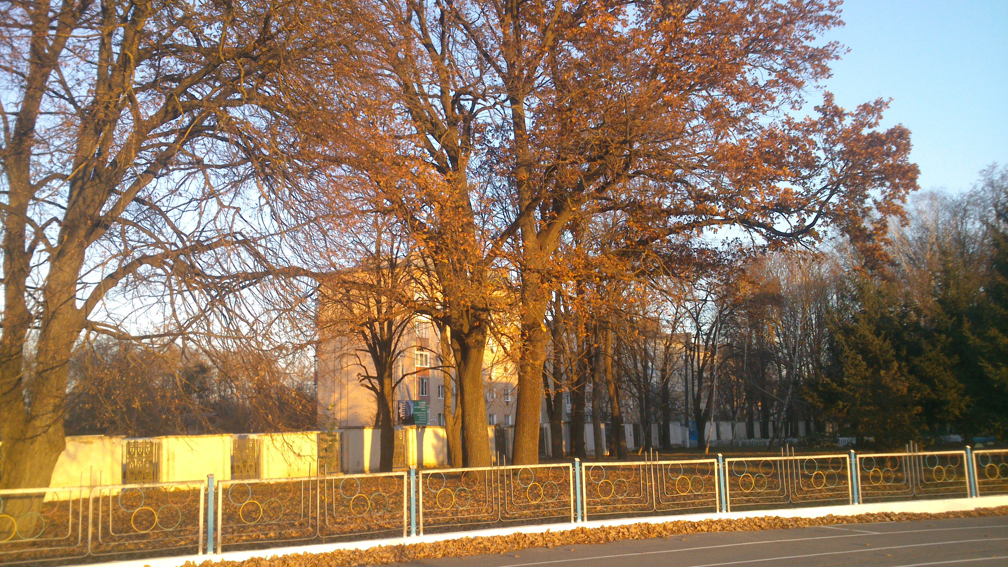 DSC_2920.jpg