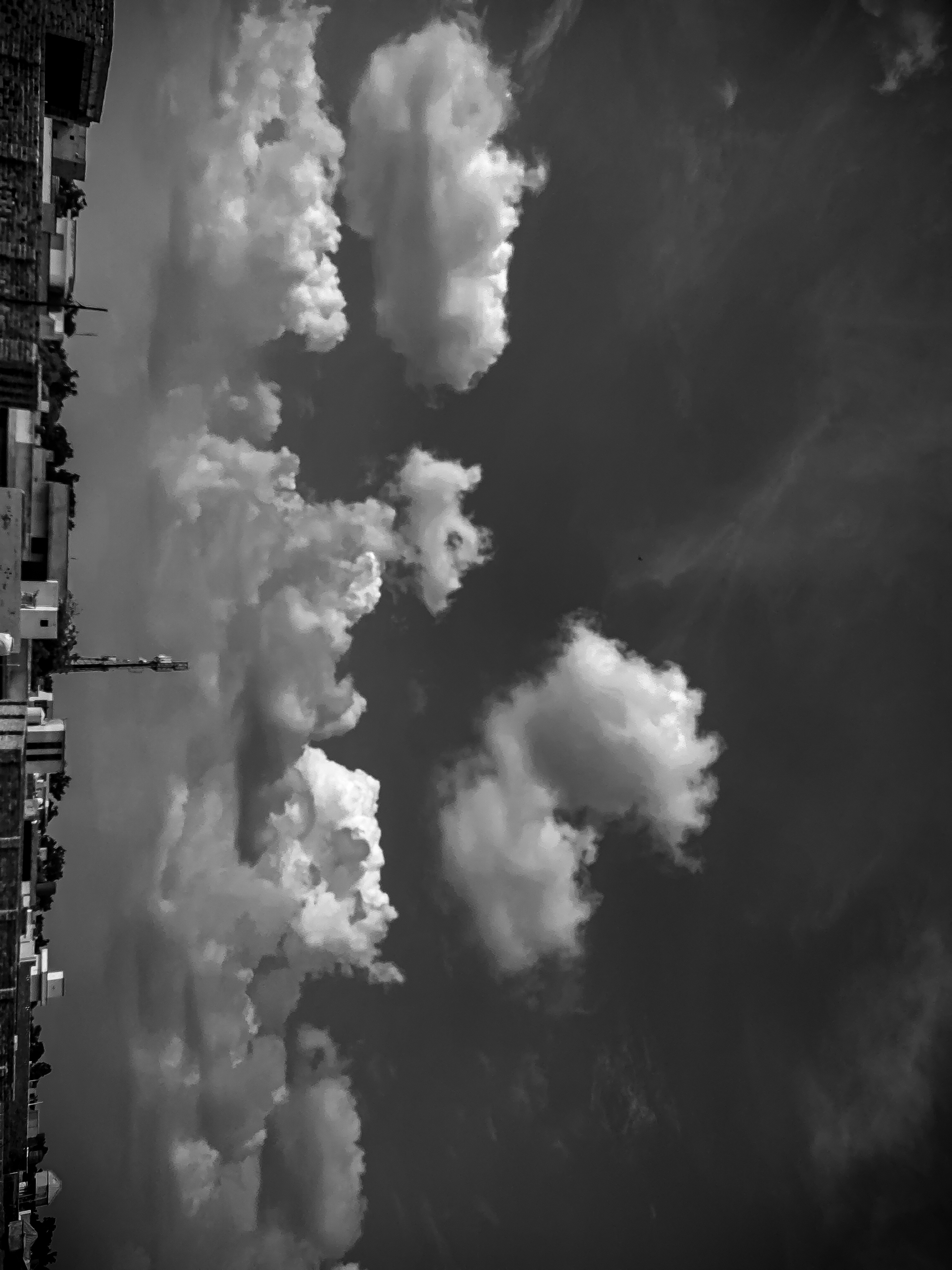 IMG_20210723_153715 (1).jpg