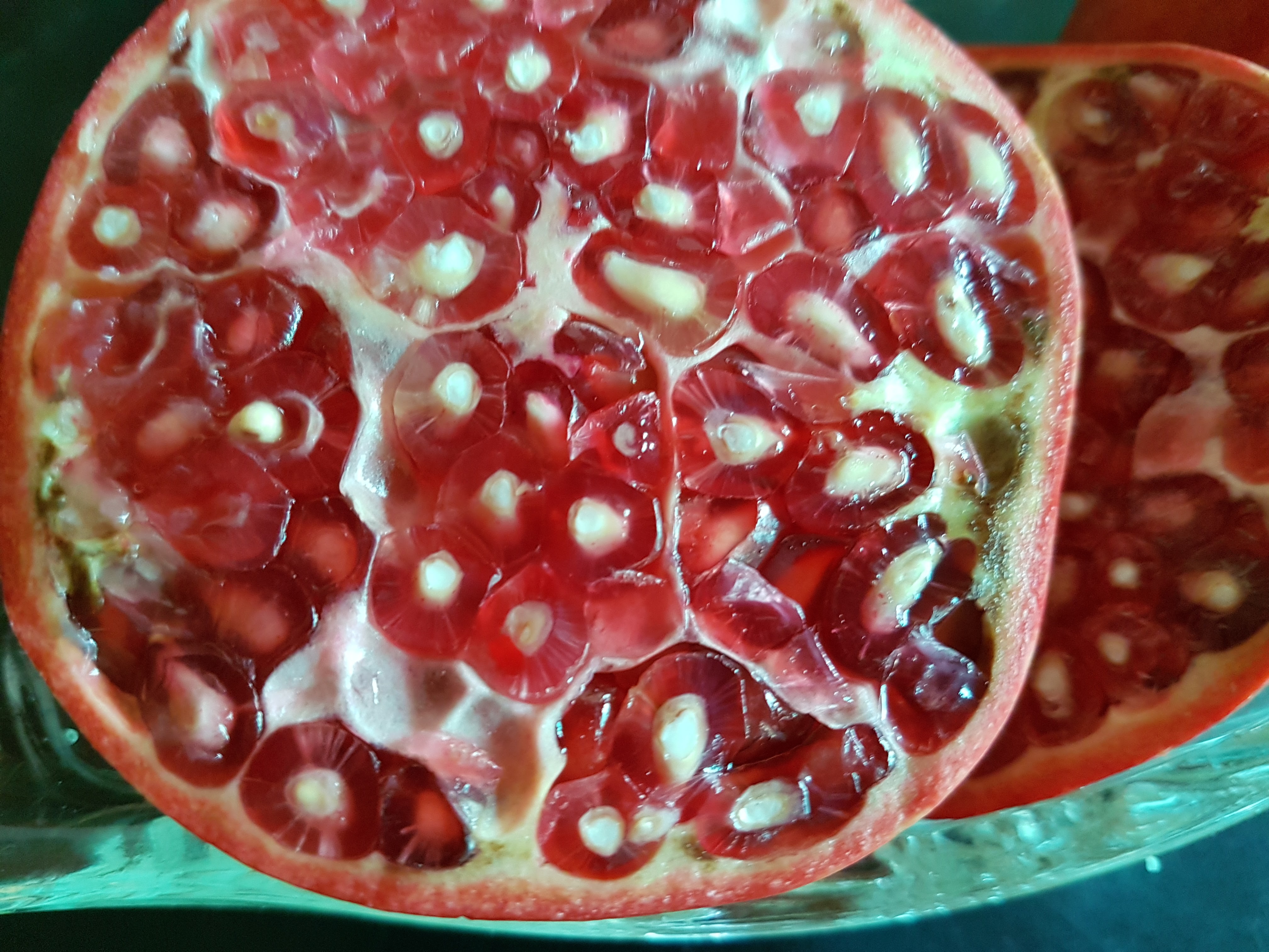 20170817_124437.jpg