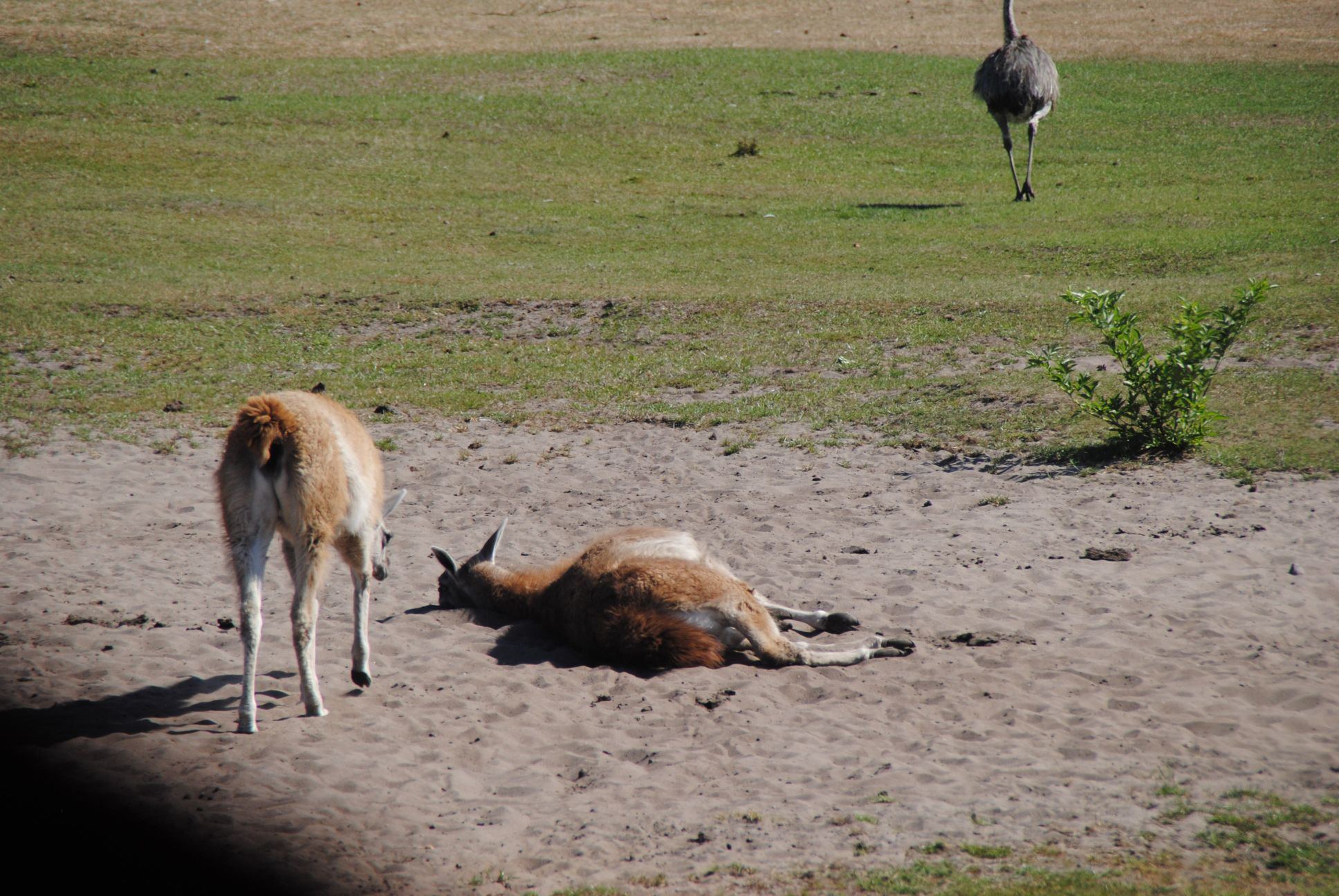 image020.jpg